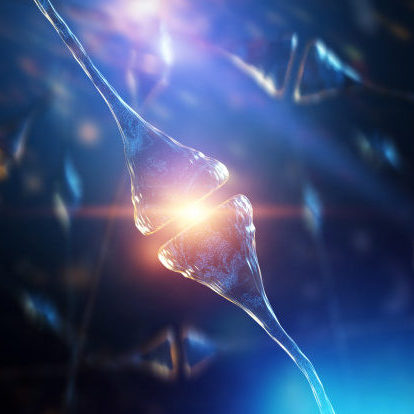 synapse-neurons-human-brain_99433-4075